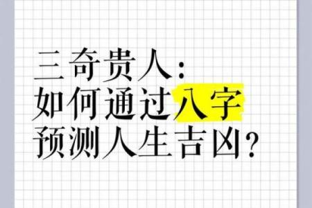 奇人八字