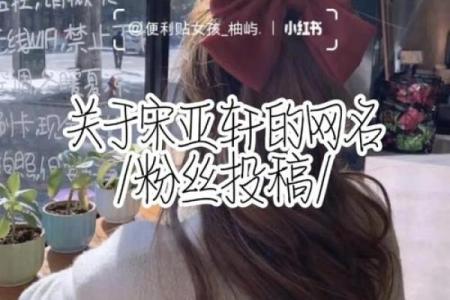 算命先生隐含意思的网名