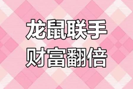 属鼠和属龙的犯冲吗 属鼠和属龙配对合适吗