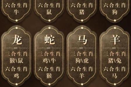 最准的12生肖配对表
