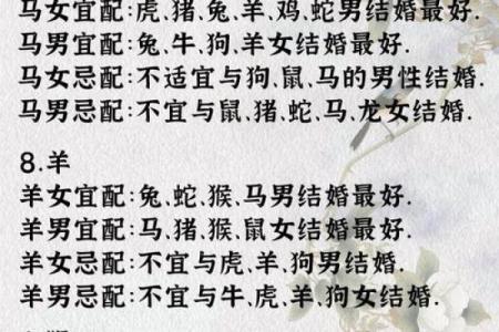 男91年羊和93年女鸡可婚配吗 91年羊男和93年鸡女是否适合婚姻配对