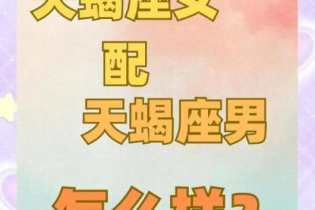 天蝎男最心疼的星座女