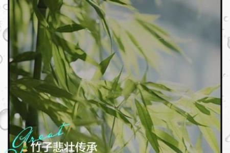 风水竹子开花意味着有灾祸发生吗