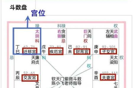 紫薇斗数陀罗在子女