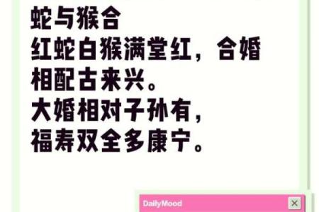 属蛇的男人应该与哪个生肖进行配对