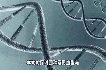 血型可以决定智商吗！哪种血型更容易成为学霸呢