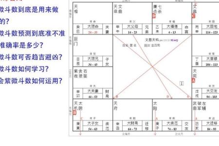 紫薇斗数旺衰