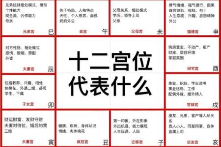 紫薇斗数的时辰点