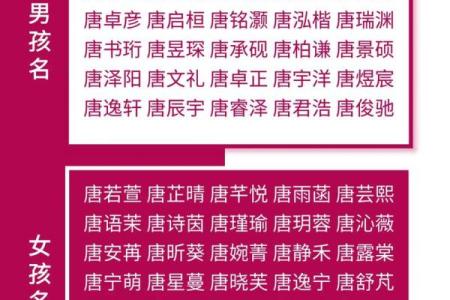 唐姓名配对搞笑名字女生 姓唐取名字搞笑？