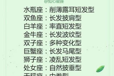 星座适合什么班干部