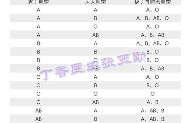 血型完美妻子的解析