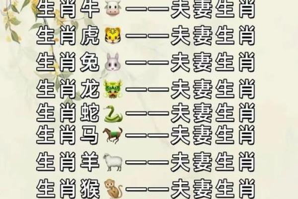 生肖查询：1996年属什么生肖配对