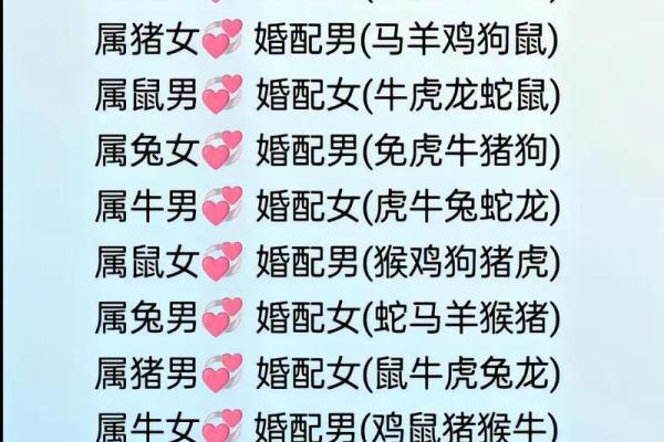九四年属什么生肖婚配 九四年属什么生肖配对