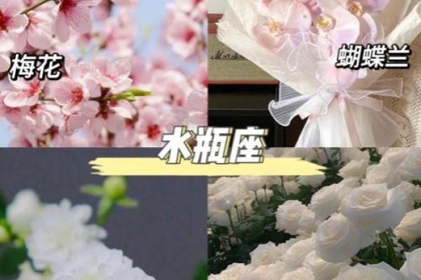 星座花语大全：每个星座的专属花语解读