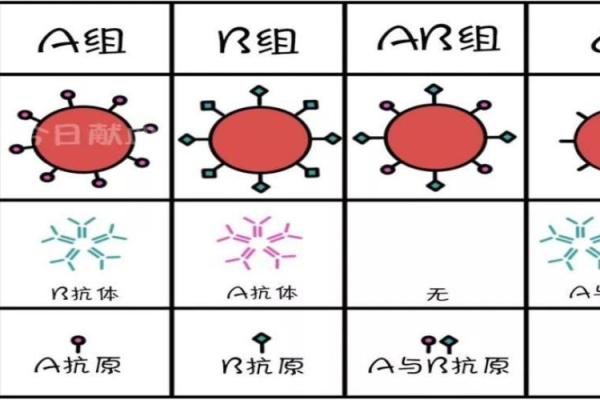 四大血型你该学习的地方