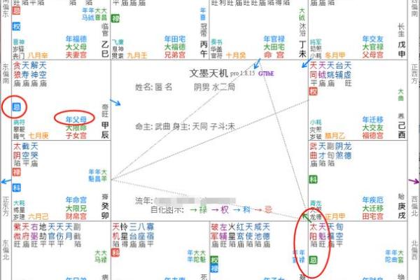 紫微斗数诸星落诸宫之：太阴星财帛宫详解
