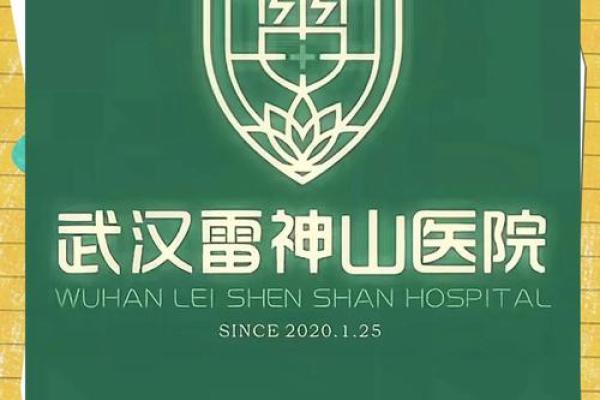 起名风水_火神山和雷神山名字的由来是什么