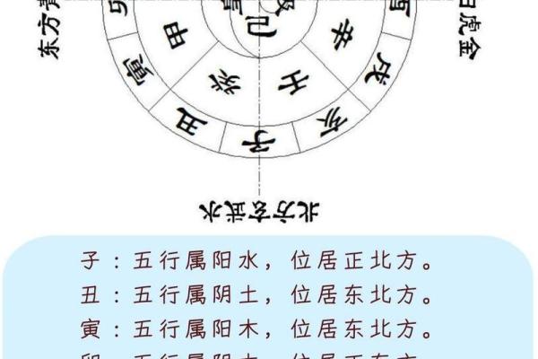 十二地支阴阳五行及方位