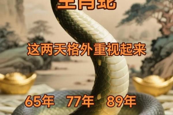属蛇正缘出现在哪年 属蛇人婚姻配对表