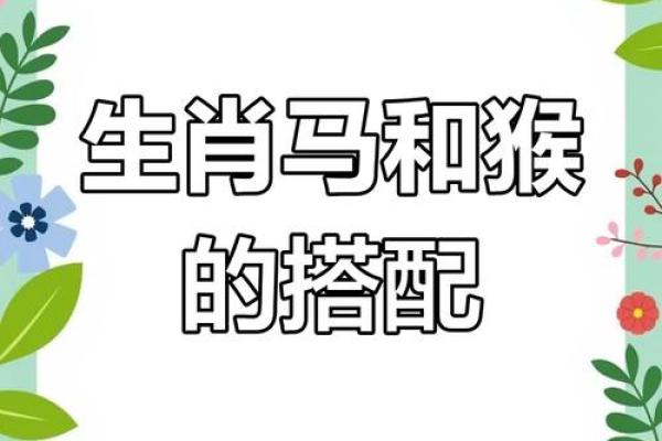 生肖配对：属马的和什么属相最配