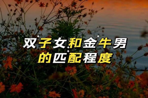 金牛男双子女 金牛男与双子女是否配对成功