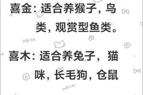 风水命理五行缺火怎么化解