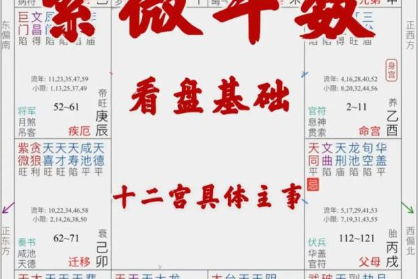 紫薇斗数怎么排名盘