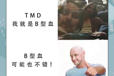 为什么说ab血型最聪明