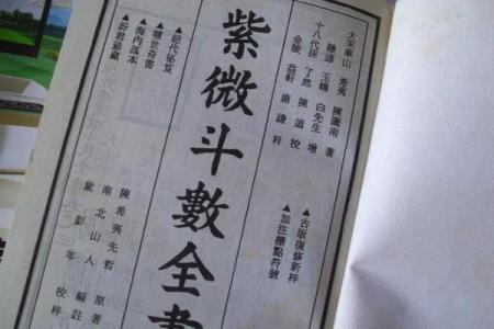紫薇斗数全书架构