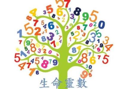 生命灵数8和几配对