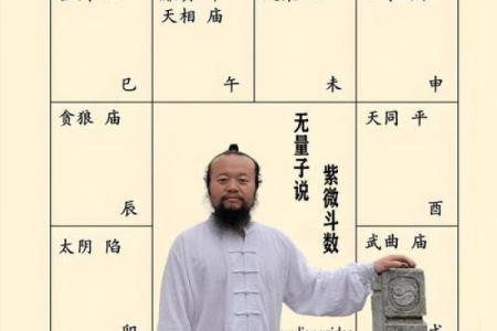 紫微斗数诸星落命宫之：华盖星详解