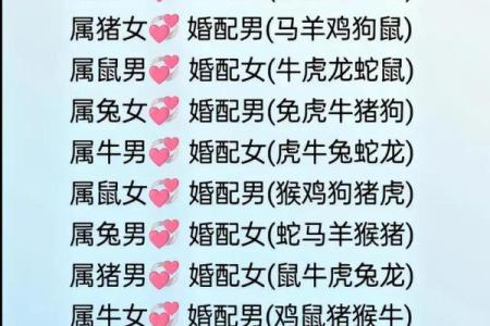 九四年属什么生肖婚配 九四年属什么生肖配对