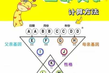 生命灵数配对怎么安排