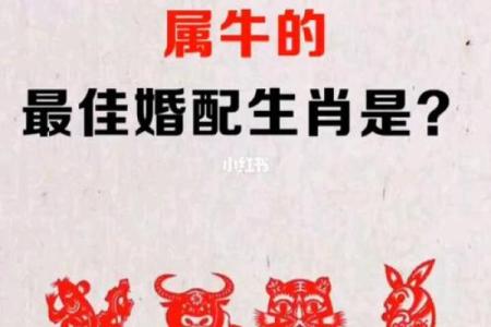 1985属牛的婚姻配对最佳
