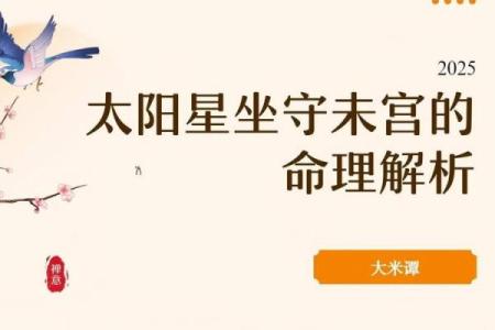 紫微斗数太阳星