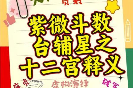 紫薇斗数科技紫微网
