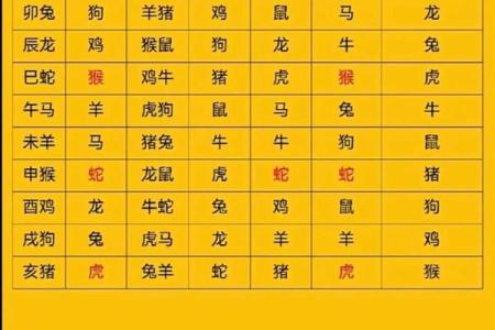 属猪和什么属相最配对 属猪和什么属相相冲