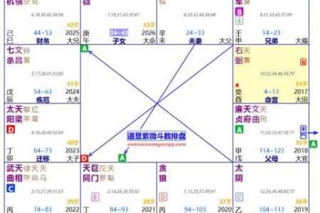 紫薇斗数限命