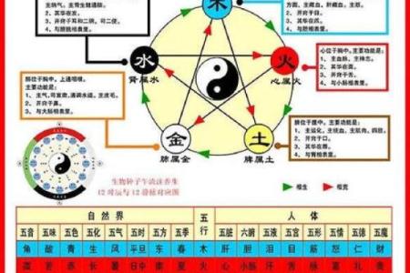 阴阳五行：教你五行八卦看风水