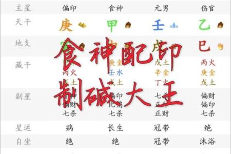 食神泄秀八字案例
