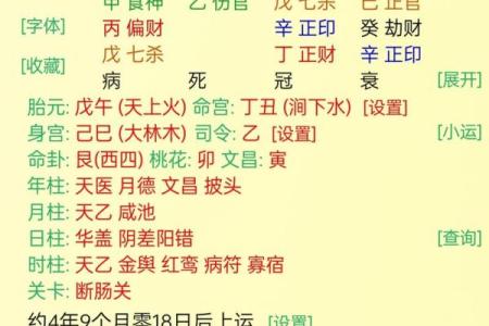 当官的八字
