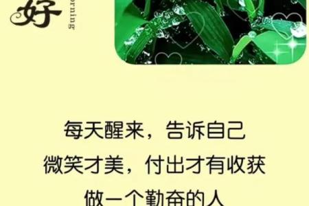 如何留住好风水？凡事量力而行