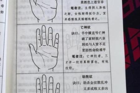 手相算命图解指纹的奥秘