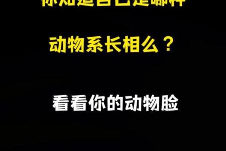 根据名字测试你是什么动物  本命动物测试