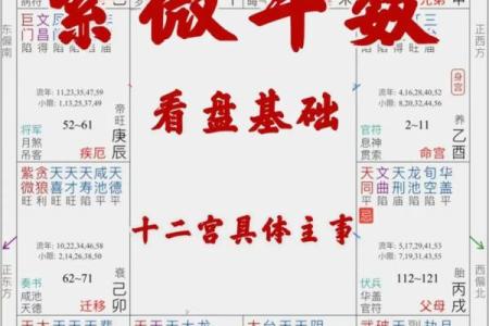 紫薇斗数怎么排名盘
