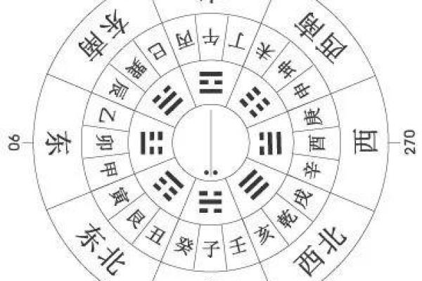 乌龟找财位,乌龟放在哪个方位旺财