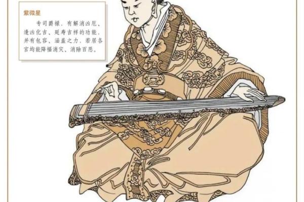孔子紫薇斗数