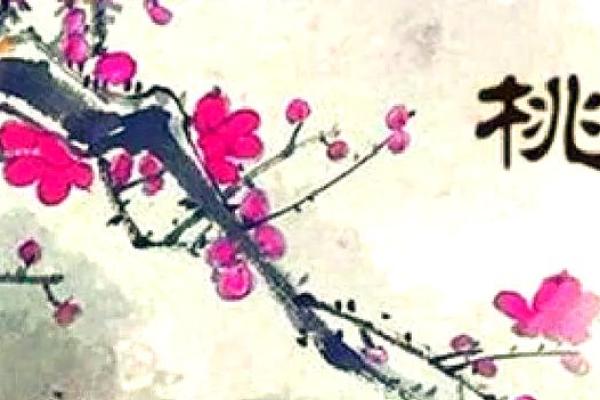 紫薇斗数桃花运