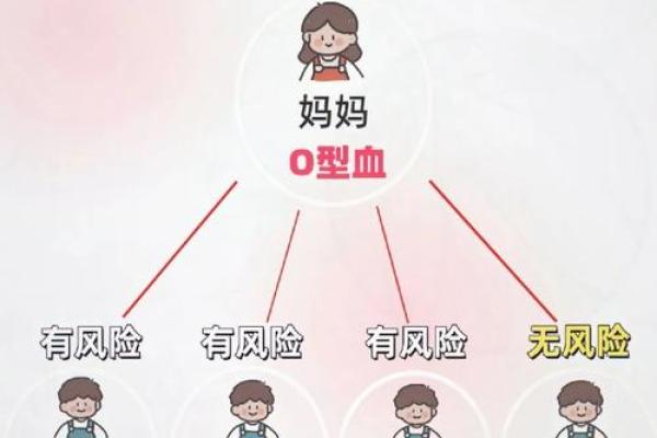 a型血和a型血会生出什么血型