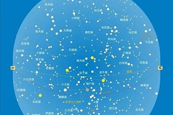 冬天能看到的星座